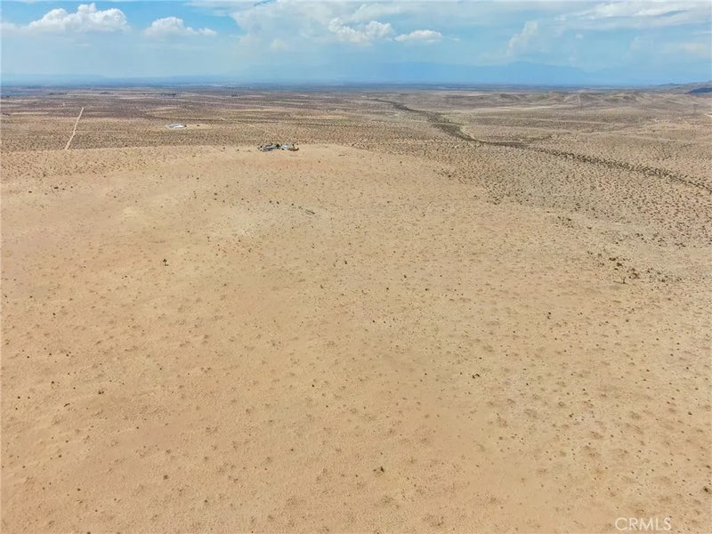 0 Desert Flower