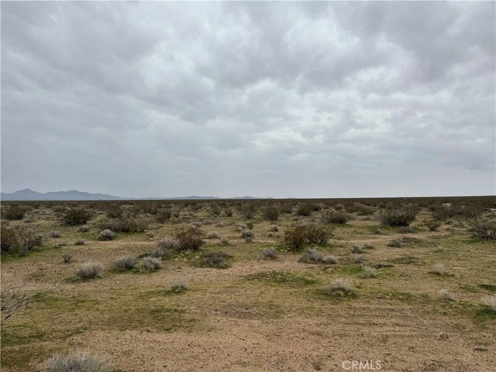 Photo of 8133 Near Helendale, Helendale, CA 92342 (MLS # HD26003231)