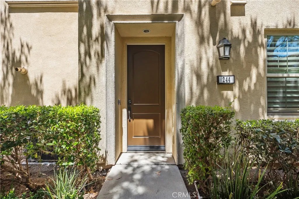 244 Rose Arch