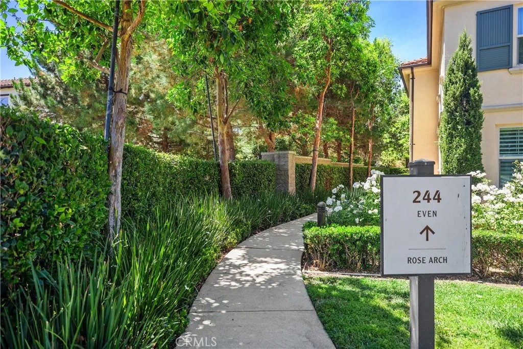 244 Rose Arch