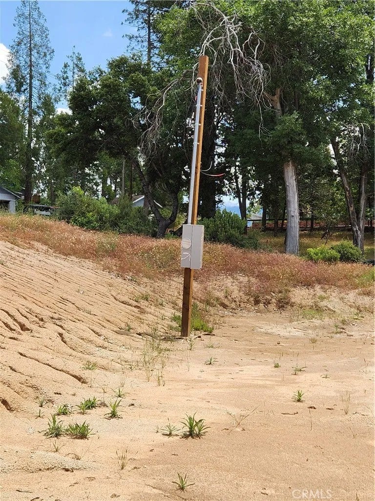 52830 Pine