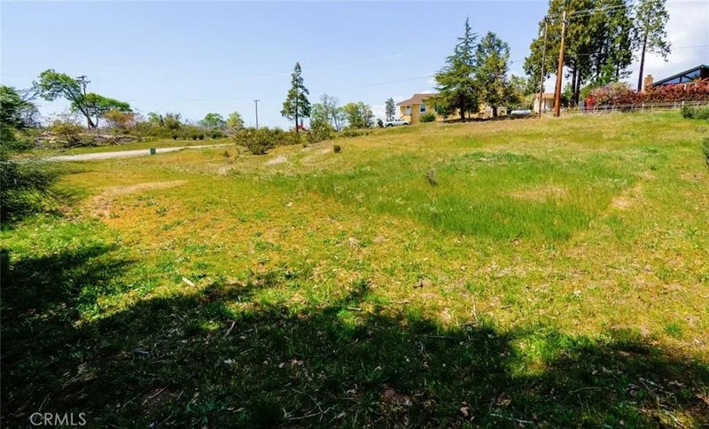 52830 Pine