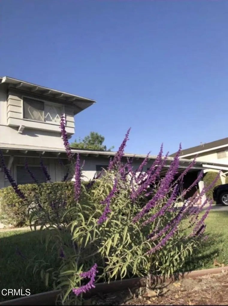 207 Genoa Street