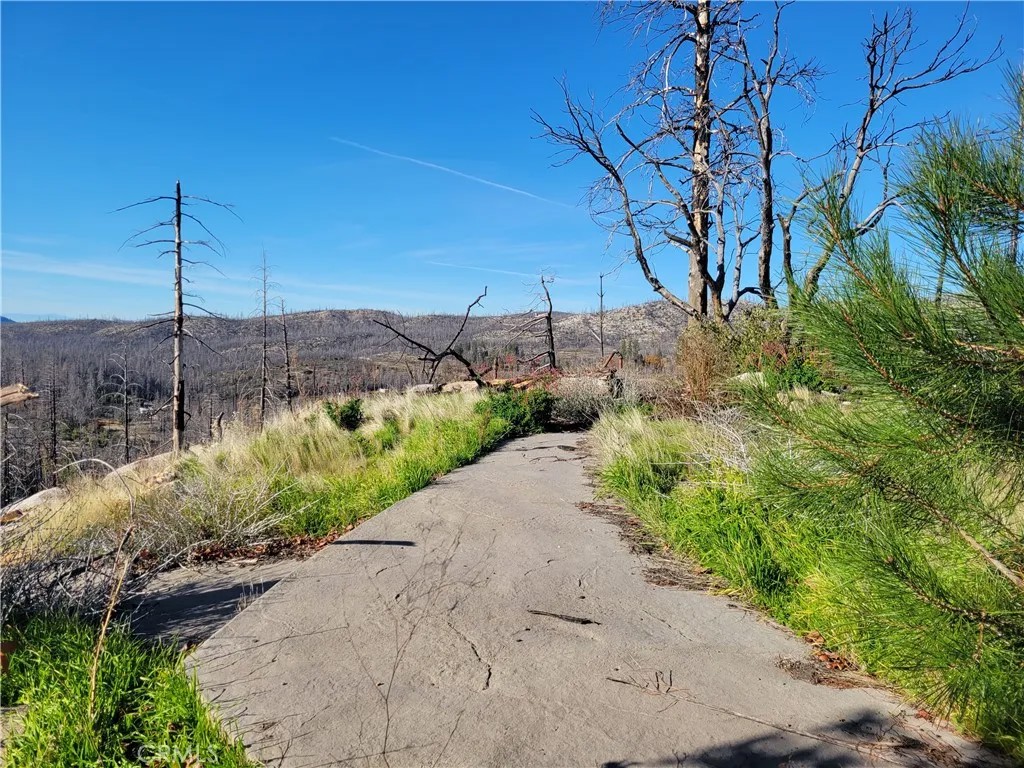 161 Shadow Creek