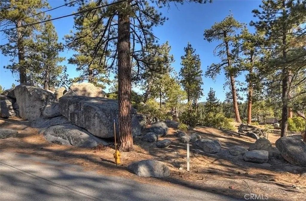 Photo of 831 Cove Drive, Big Bear Lake, CA 92315 (MLS # TR26080966)