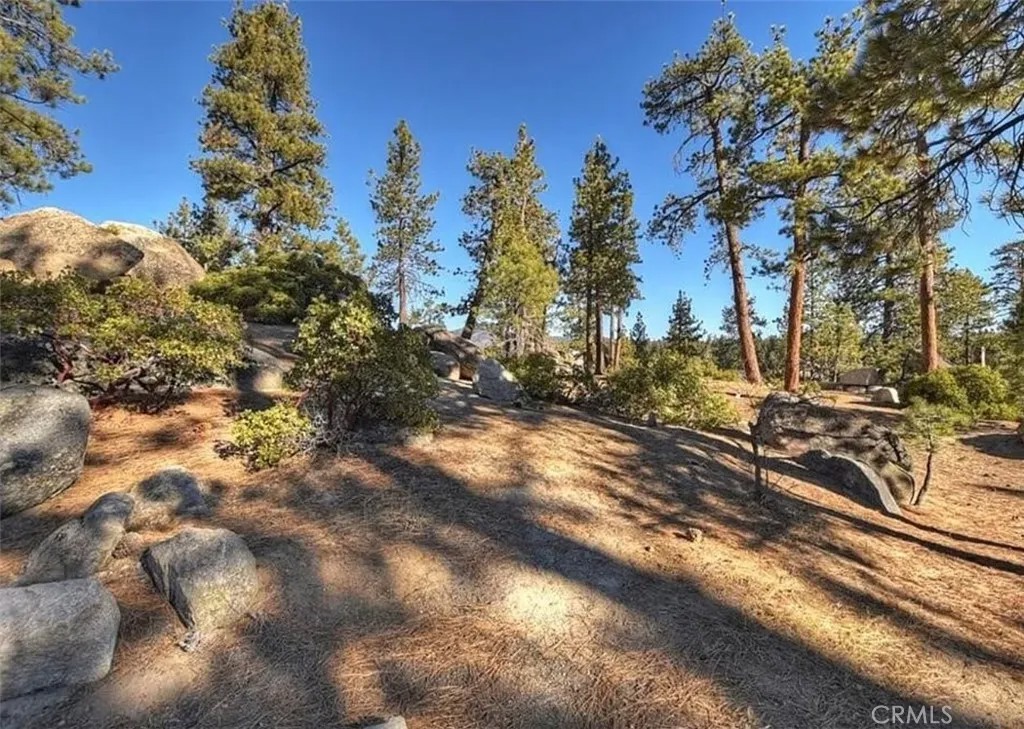 831 Cove Drive