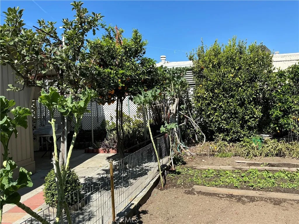 1515 W Arrow Highway