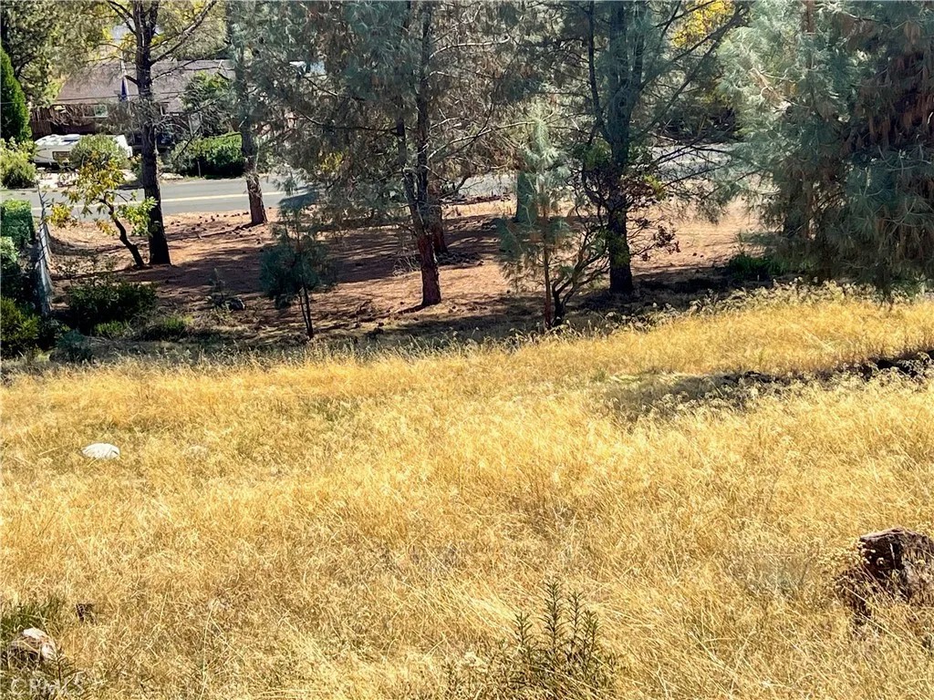 10203 El Capitan