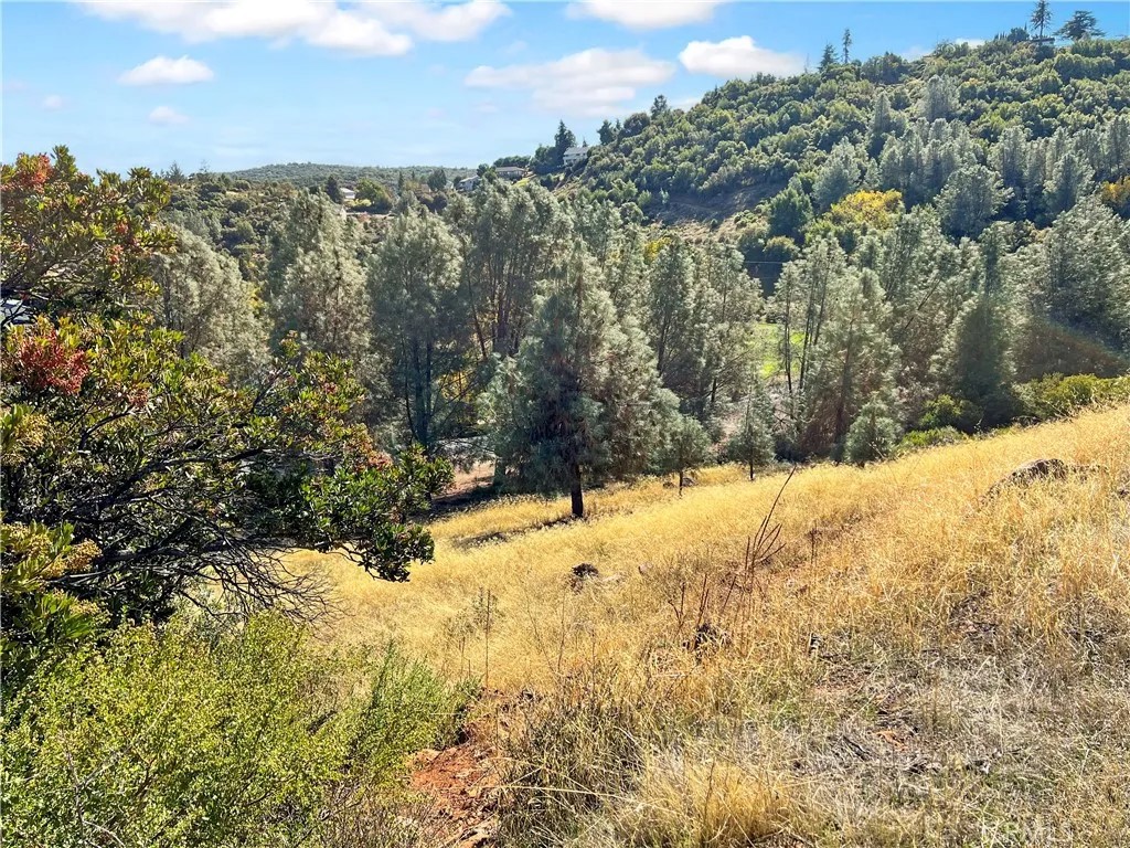 10203 El Capitan
