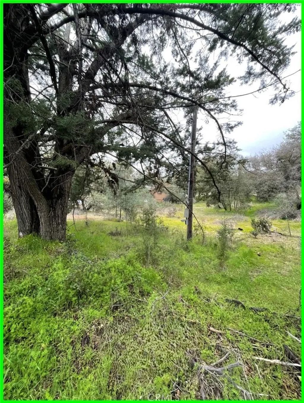 Photo of 13672 Fair Oak Rd, Clearlake, CA 95424 (MLS # PW25278444)