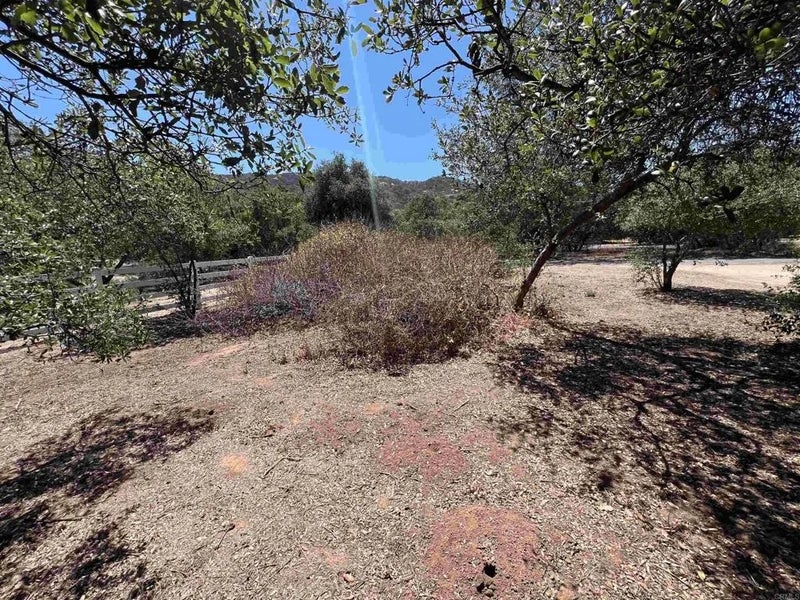 Lyons Valley