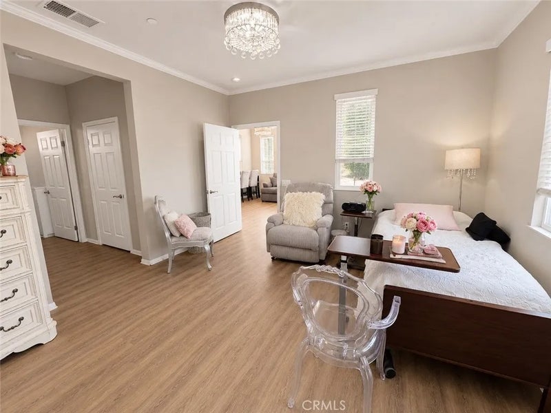 824 Coriander 502