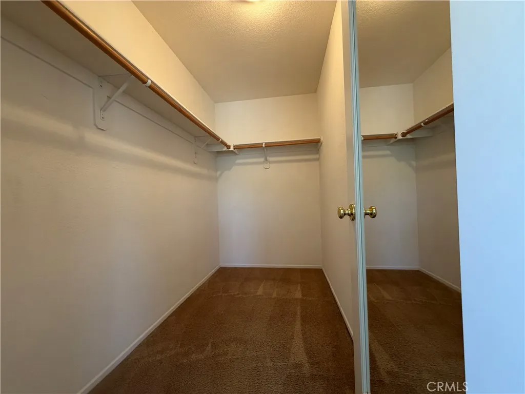 29511 Dana Court