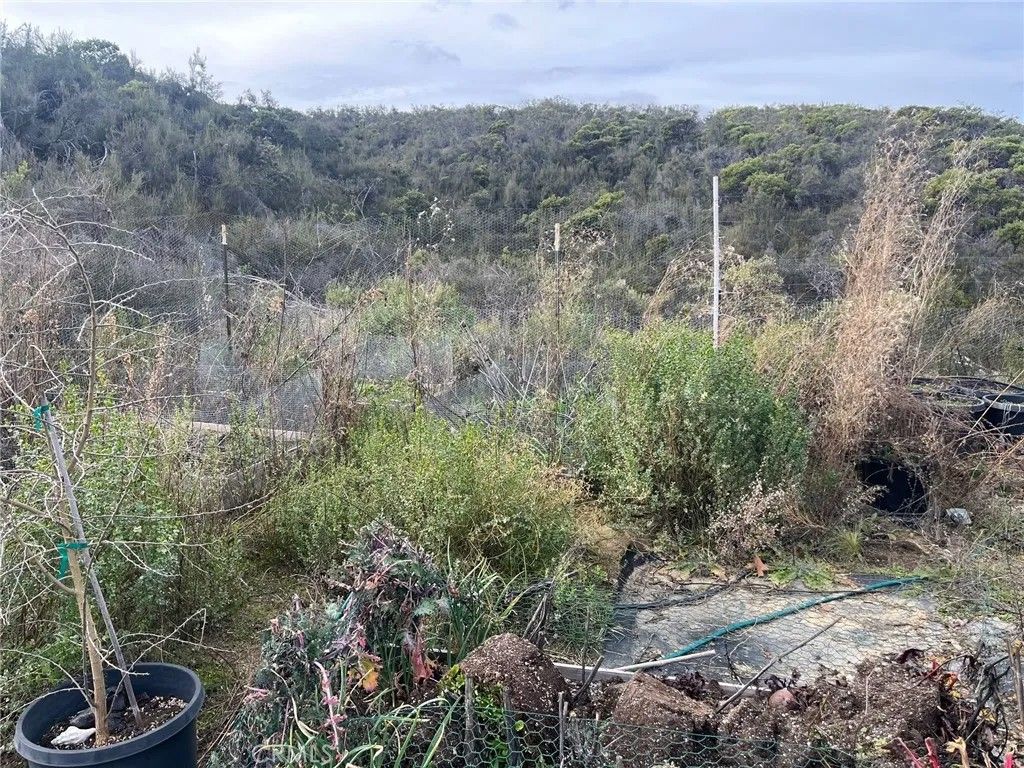 Photo of 8445 Old Dirt Rd, Kelseyville, CA 95451 (MLS # LC26028575)