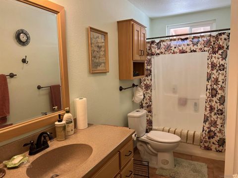 Tiny photo for 2960 Frying Pan Rd, Borrego Springs, CA 92004 (MLS # 250040384)