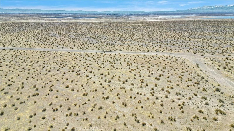 0 Desert Flower