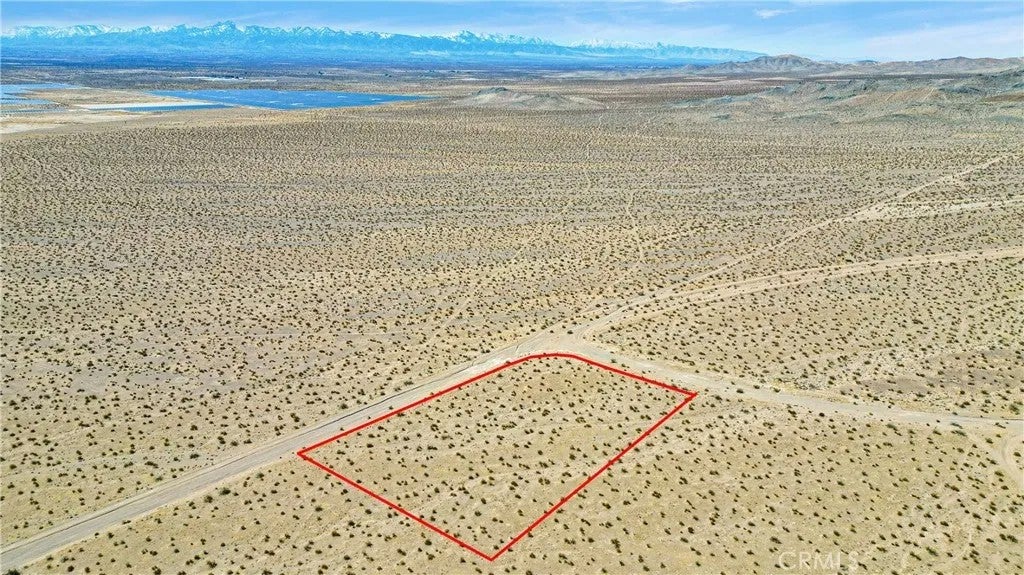 0 Desert Flower