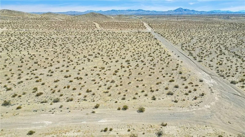 0 Desert Flower