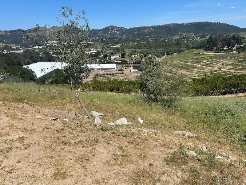 515 Cassou Road