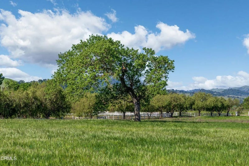 0 White Oak