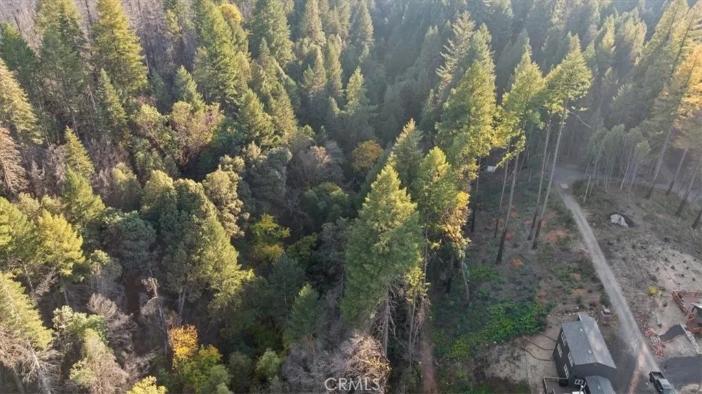 0 Path in the Woods