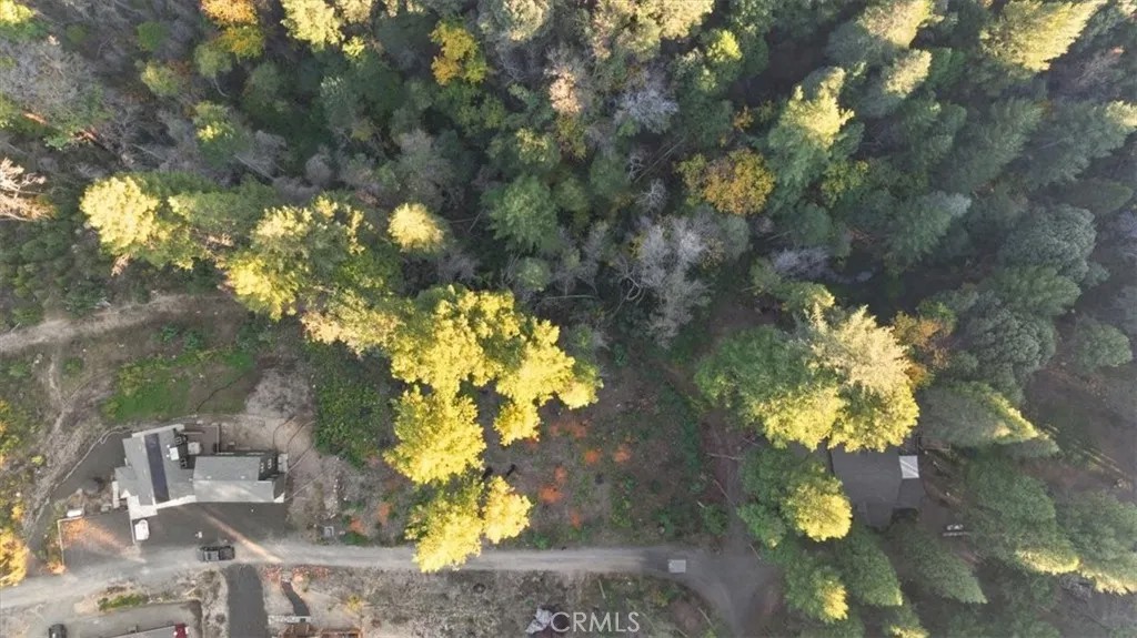 0 Path in the Woods