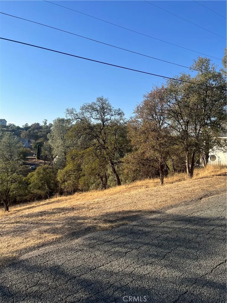 175 Lemon Hill