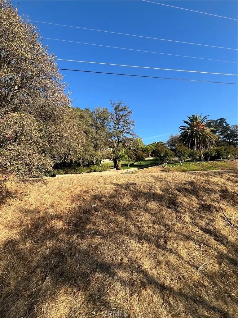 175 Lemon Hill