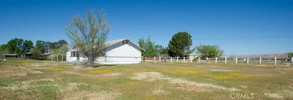 5902 Margaritha