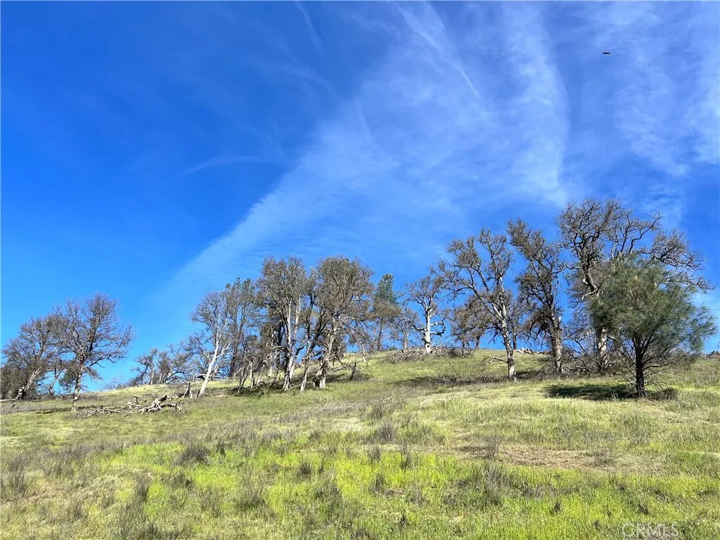 2286 New Long Valley