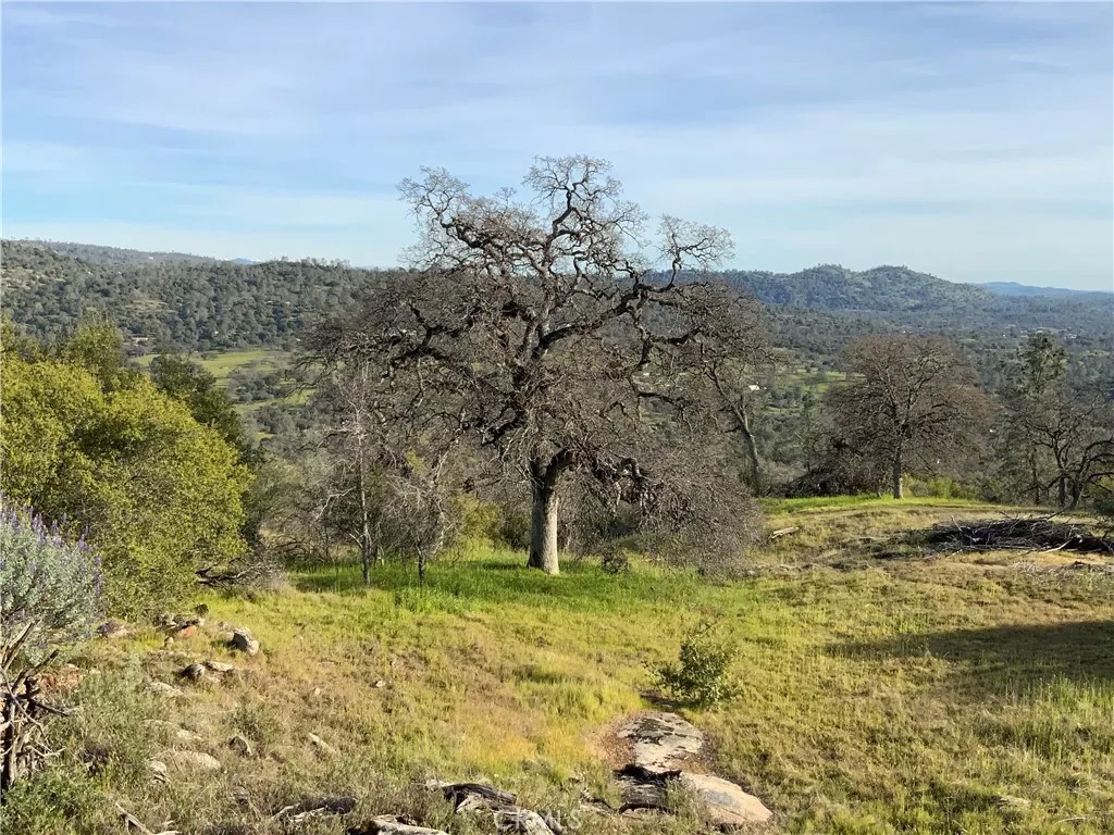 0 5.36 Acres N. Dome