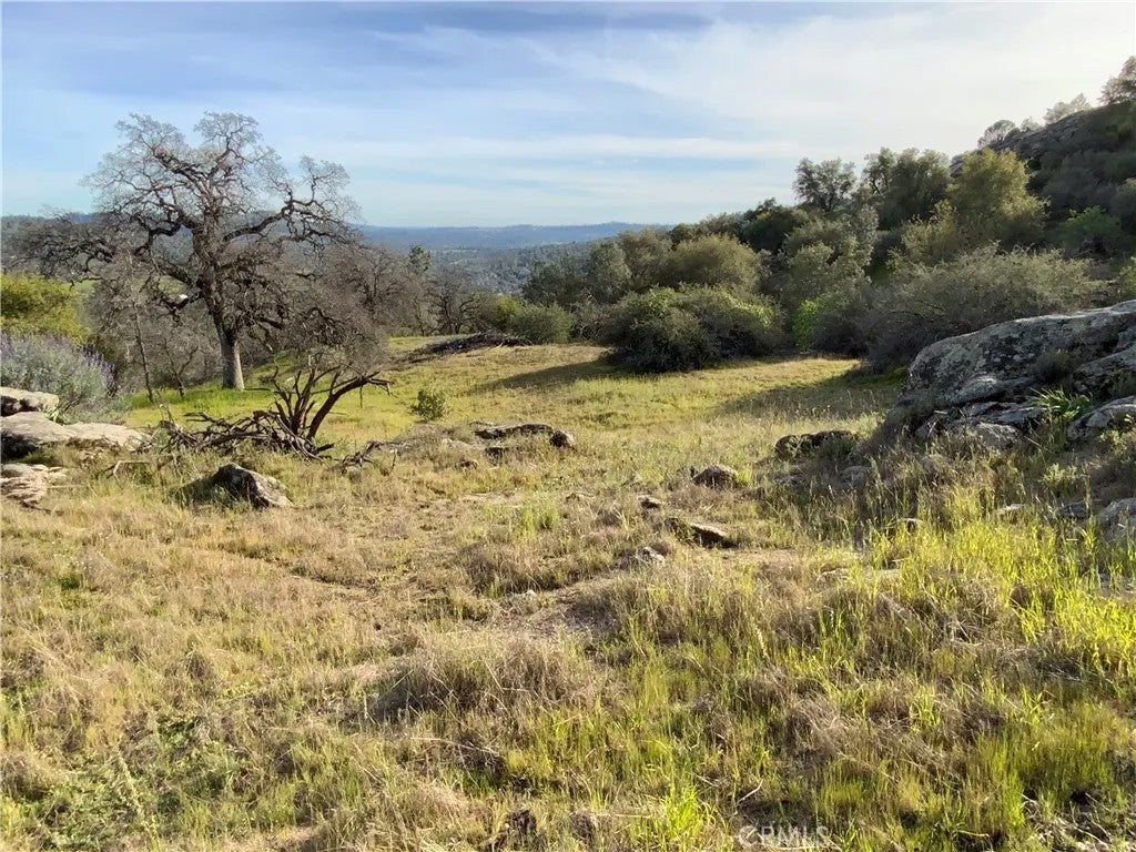 0 5.36 Acres N. Dome