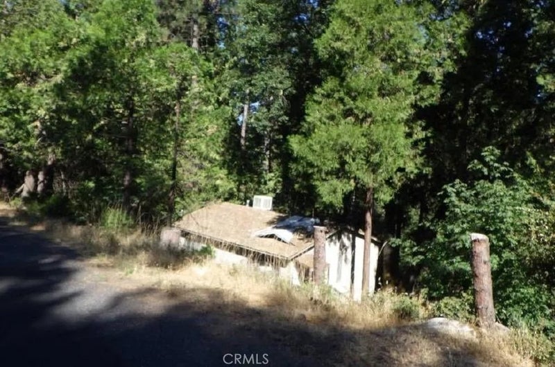 17166 Smokey River