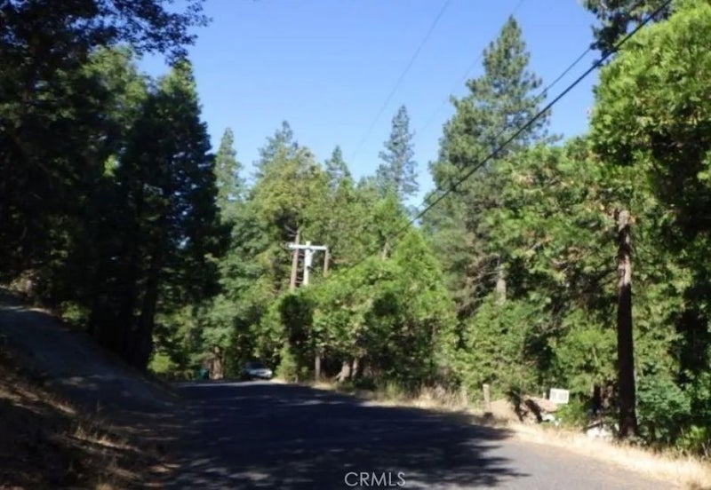 17166 Smokey River