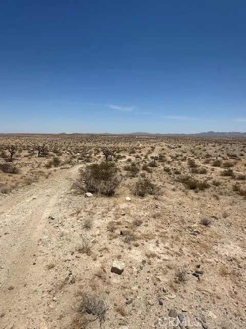 0 No Address