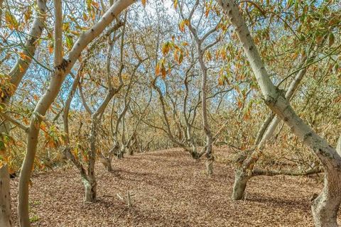 Tiny photo for 30508 Circle R Lane, Valley Center, CA 92082 (MLS # NDP2501426)