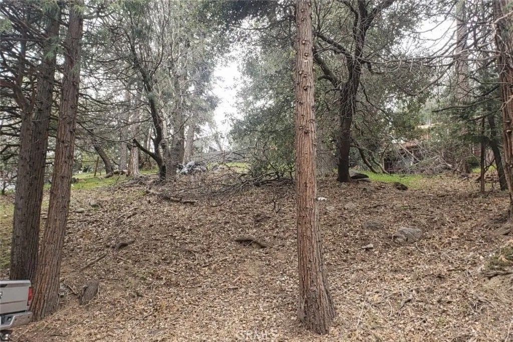 Photo of 0 Basel Dr, Crestline, CA 92325 (MLS # MB26020384)