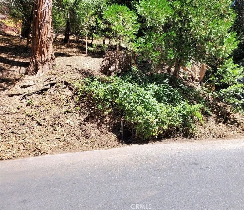 Photo of 0 Basel Dr, Crestline, CA 92325 (MLS # MB26020384)