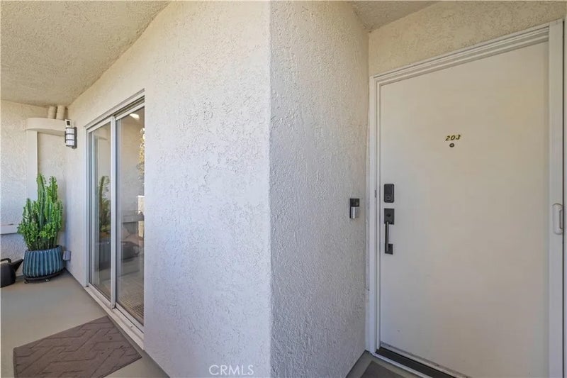 24413 Leonard Tree 203
