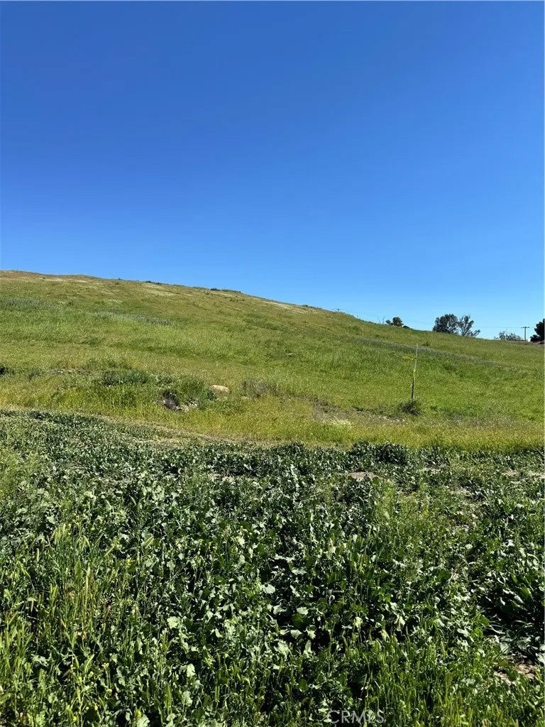 0 Vacant Land