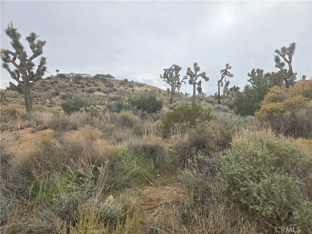 54777 Twentynine Palms