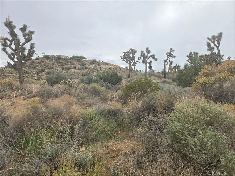 54777 Twentynine Palms