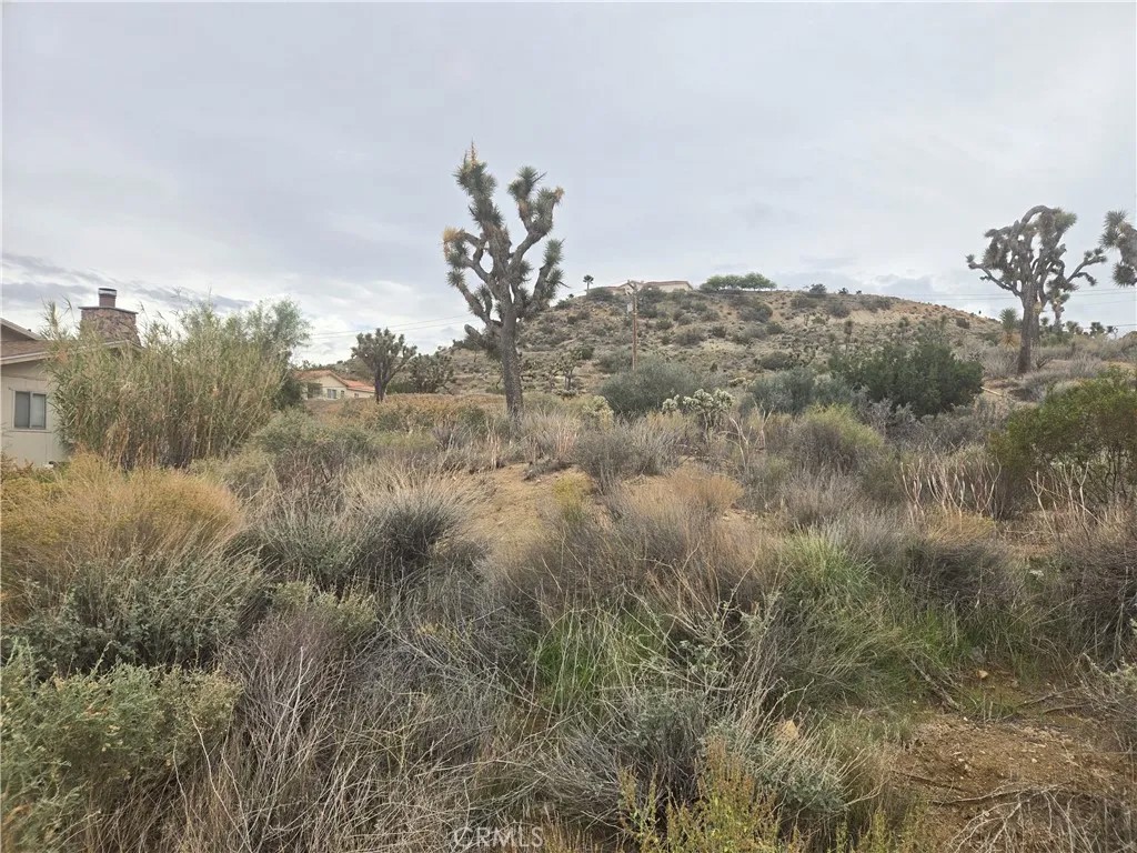 54777 Twentynine Palms