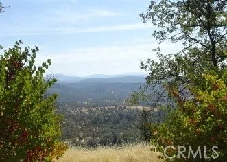 0 Lookout Mountain