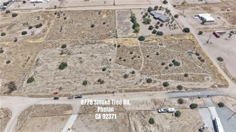 111 Smoke Tree