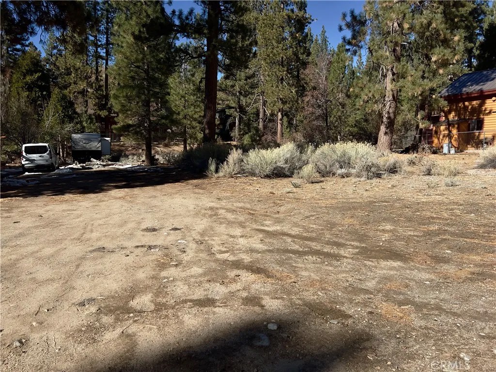 1 Canyon