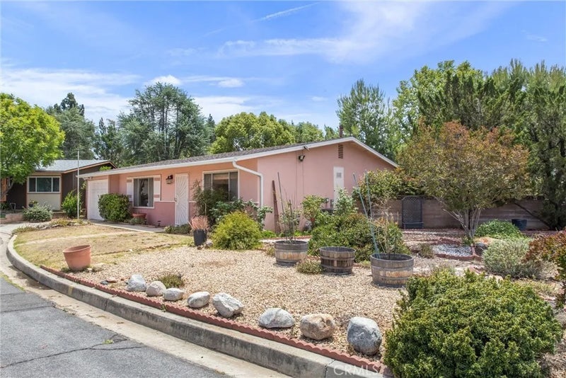 11965 Peach Tree