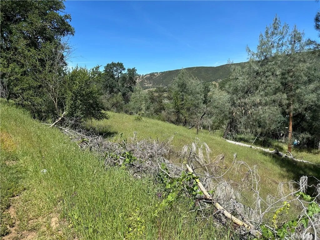 12939 Hill