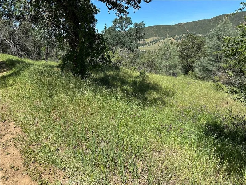 12939 Hill