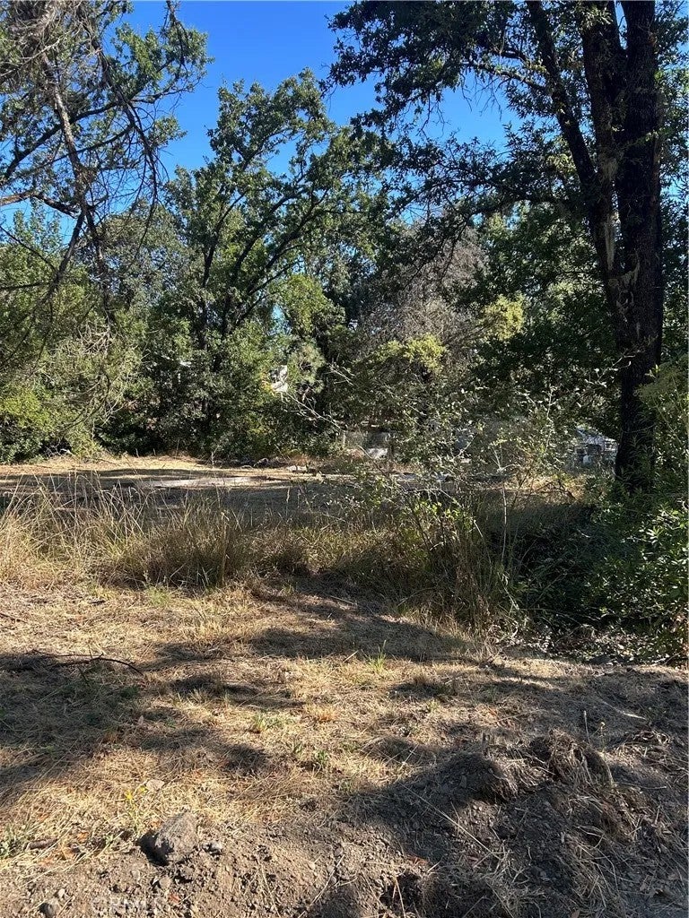 Photo of 15394 Mckell RD, Middletown, CA 95461 (MLS # LC26173657)